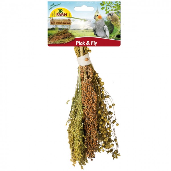 JR Birds Rispenhirse 100g