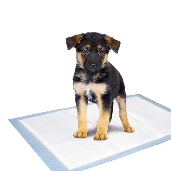 Karlie Flamingo Puppy Pads Trainingsmatten - 35 x 45 cm / 10 Stk